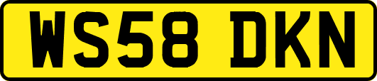 WS58DKN