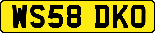 WS58DKO
