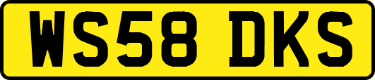 WS58DKS