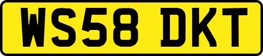 WS58DKT