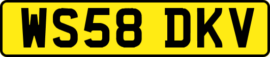 WS58DKV