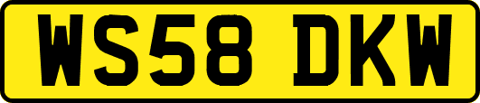 WS58DKW