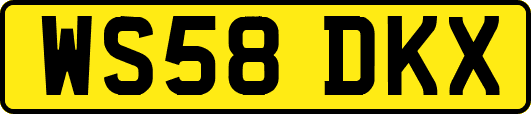 WS58DKX
