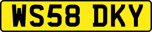 WS58DKY