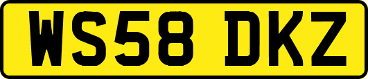 WS58DKZ