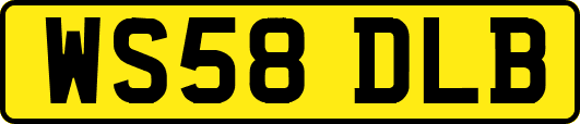 WS58DLB