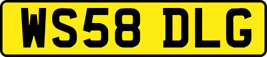 WS58DLG