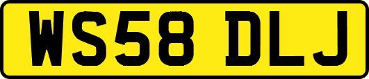 WS58DLJ