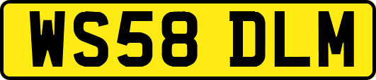 WS58DLM