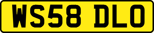 WS58DLO