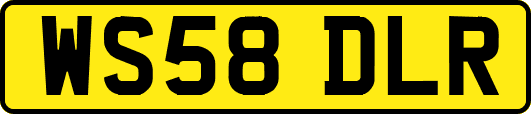 WS58DLR
