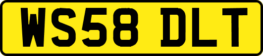 WS58DLT