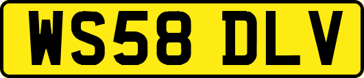 WS58DLV