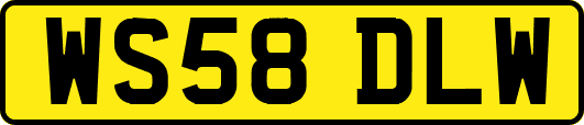 WS58DLW