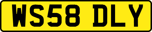 WS58DLY