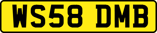 WS58DMB