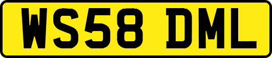 WS58DML