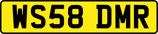 WS58DMR
