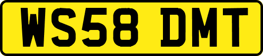 WS58DMT