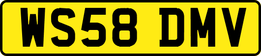 WS58DMV