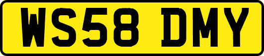 WS58DMY