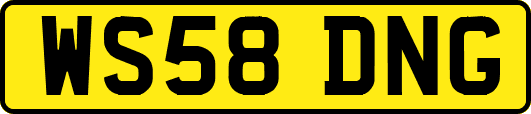WS58DNG