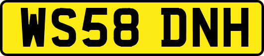 WS58DNH