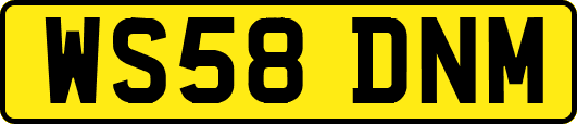 WS58DNM