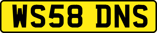 WS58DNS