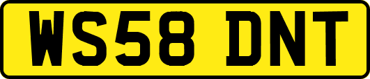 WS58DNT