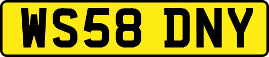 WS58DNY