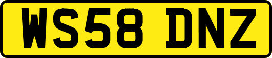 WS58DNZ
