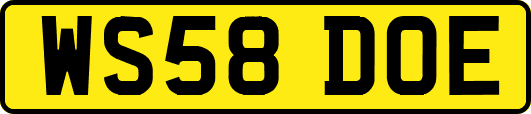WS58DOE