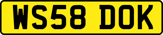 WS58DOK
