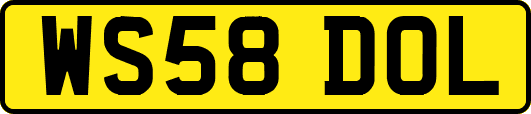 WS58DOL