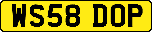 WS58DOP