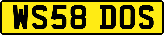 WS58DOS