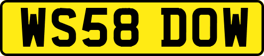 WS58DOW