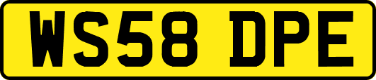 WS58DPE