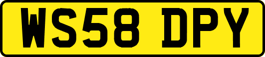 WS58DPY