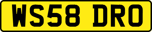 WS58DRO