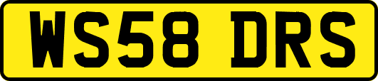 WS58DRS
