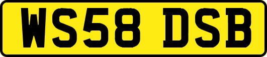 WS58DSB