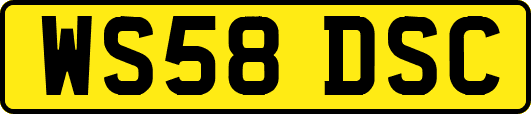 WS58DSC