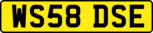 WS58DSE