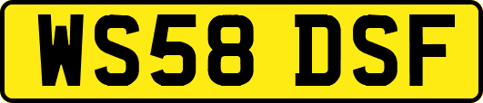 WS58DSF