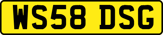 WS58DSG