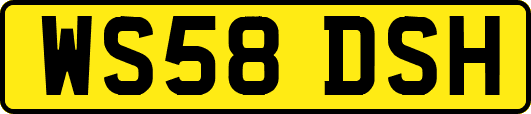 WS58DSH