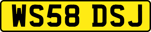 WS58DSJ