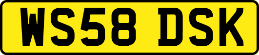 WS58DSK